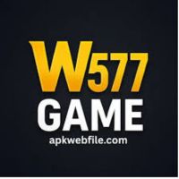 W577 Game